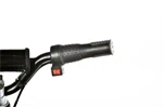 טרקטורון ממונע TR300 60V Tom Ride 5